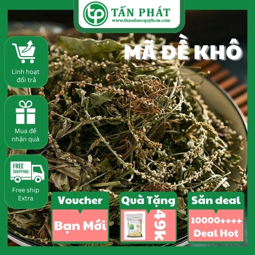 [Hàng mới về] Mã đề sấy khô 1kg - Thảo Dược Tấn Phát - Hàng sạch chất lượng cao giúp thanh nhiệt và giải độc - Hỗ trợ lợi tiểu cực kỳ hiệu quả