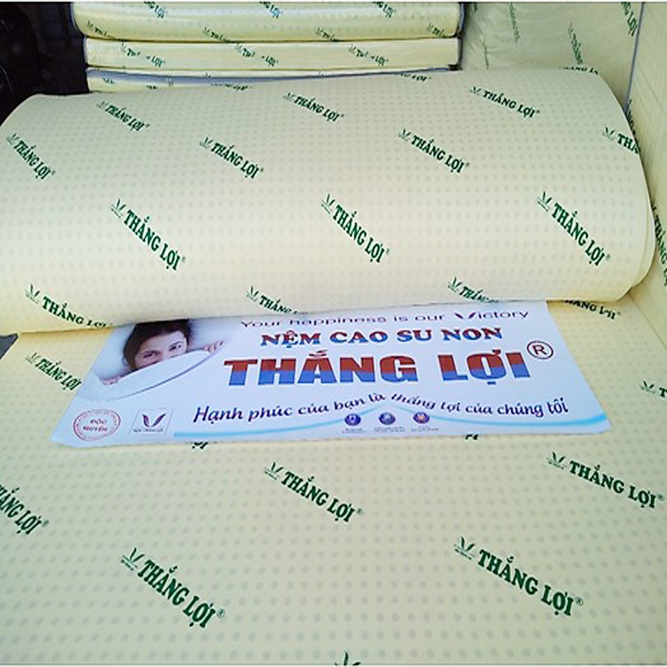 (FREE SHIP HCM ) Nệm Cao Su Non Thắng Lợi - Nệm Gấp 3 Thoáng Mát Độ Bền Cao