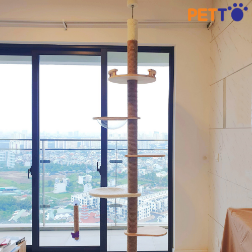 Tháp Mèo Leo Trèo Nhiều Tầng Độc Đáo