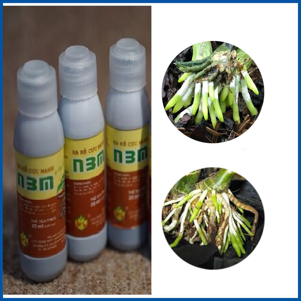 Dung Dịch N3M Kích thích ra rể cực mạnh - lọ 20ml [Seeds]
