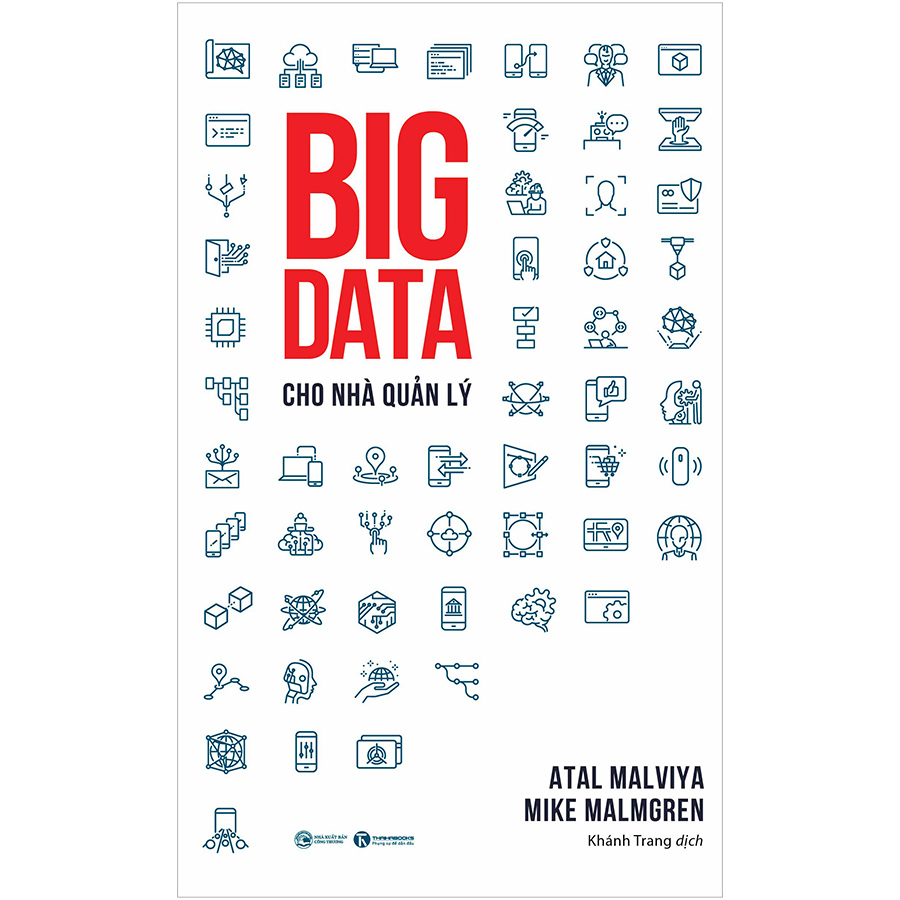 Big data cho nhà quản lý