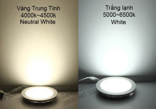 Đèn Rọi Thanh Ray Mắt Ếch 12w