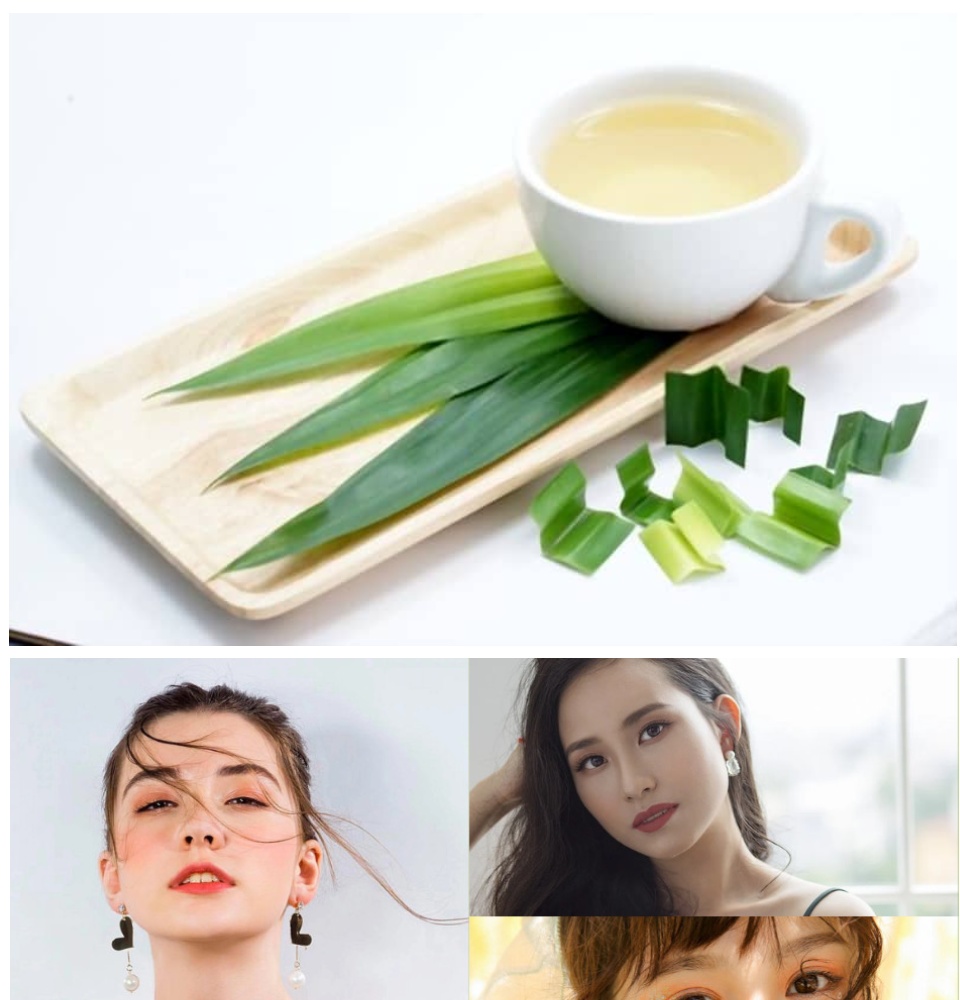 [HCM] Trà lá dứa sấy lạnh gói 20 gram