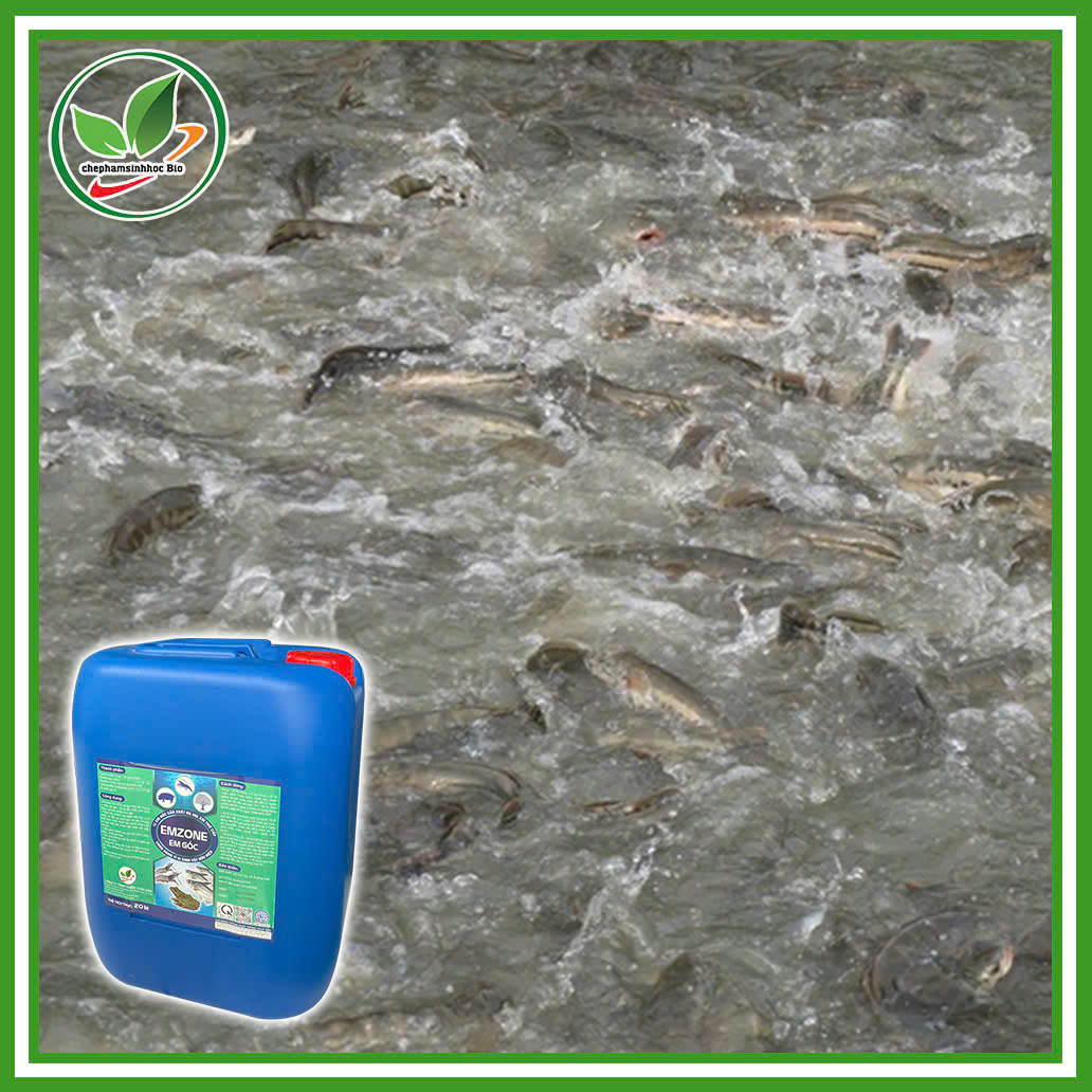 Chế phẩm sinh học EM gốc - Emzone. Can 5l