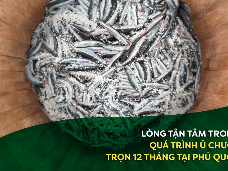 Nước Mắm Cá Cơm Knorr 750ml/Chai