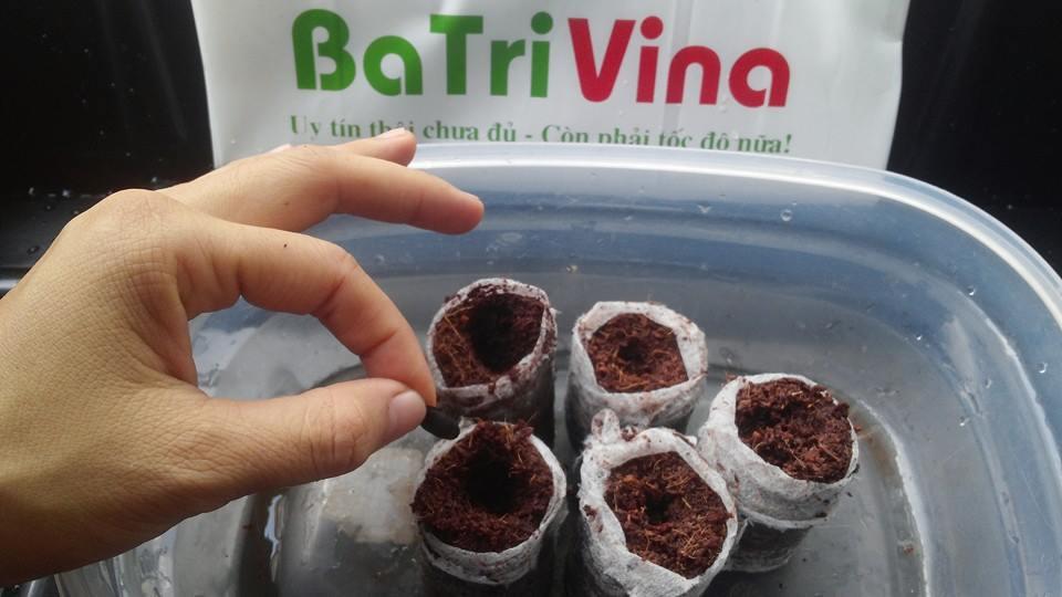 Viên nén ươm hạt (20 viên)