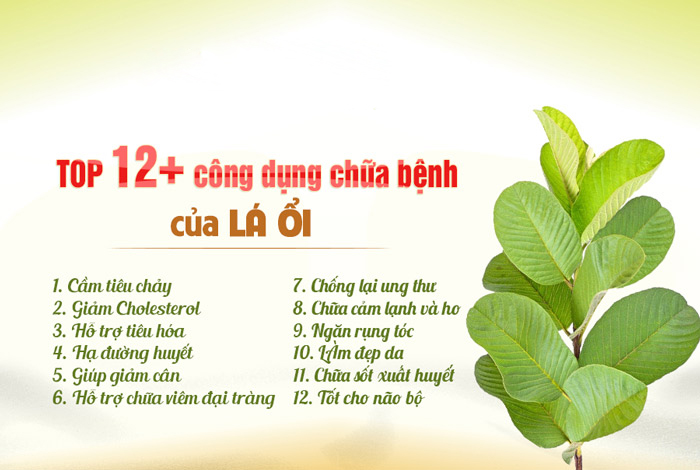 Pure Guava Leaf Powder 200g