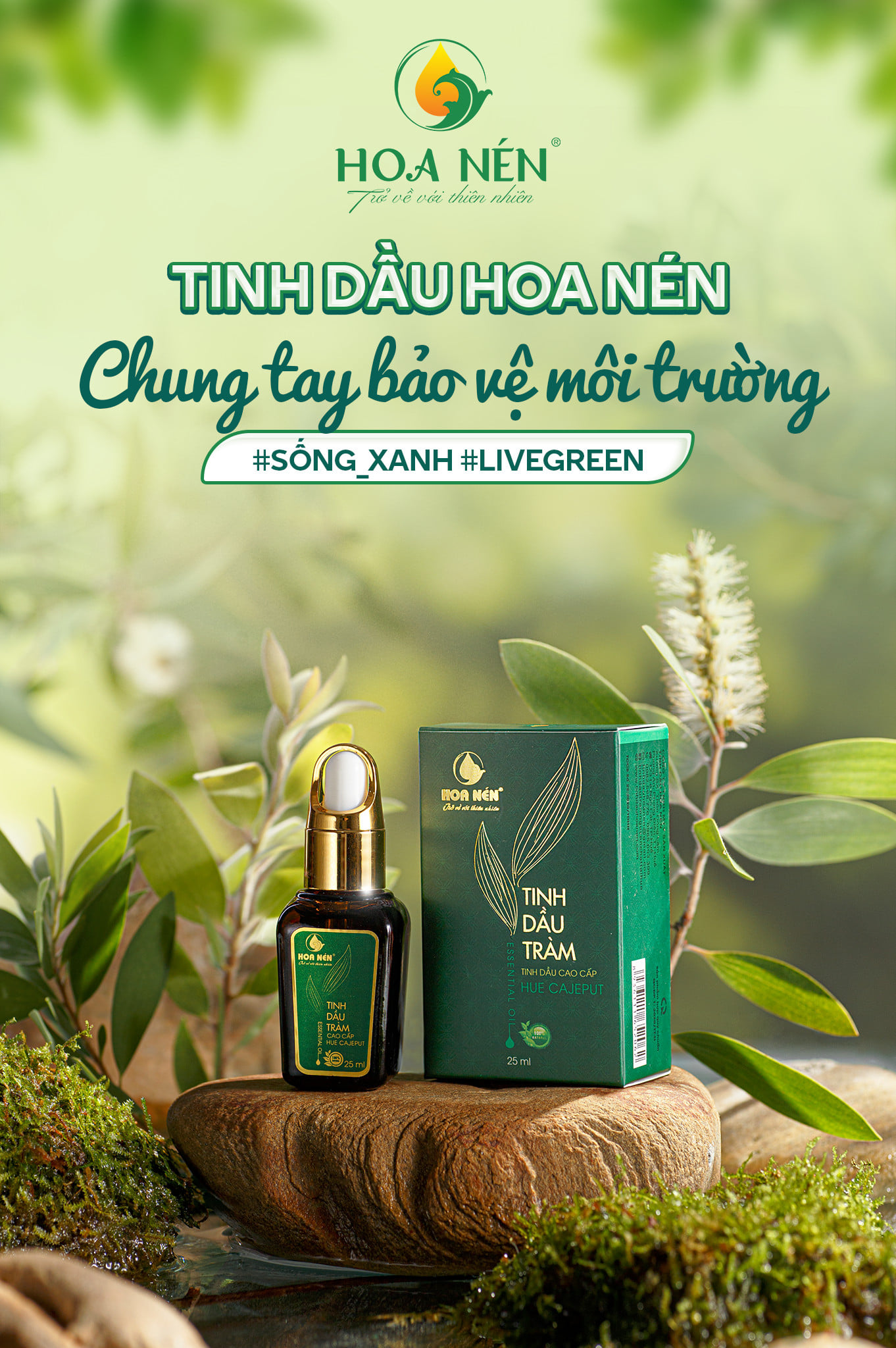 Tinh Dầu Tràm Hoa Nén Loại Cao Cấp 25 ml