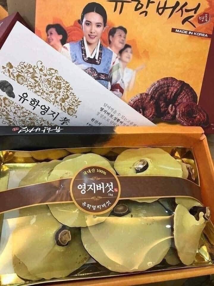 Nấm linh chi cô gái hàn quốc