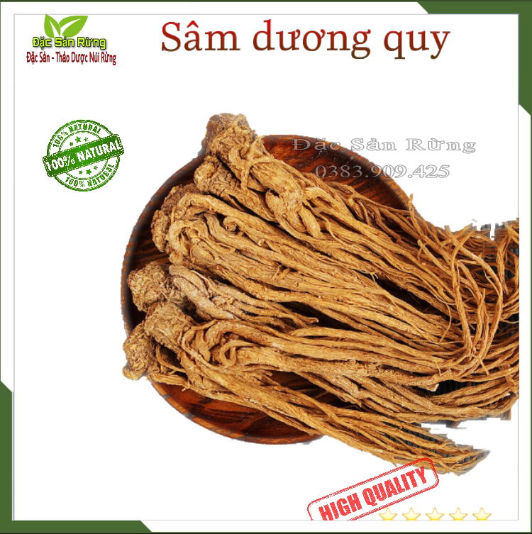 Sâm đương quy nguyên củ sấy khô - đặc sản rừng