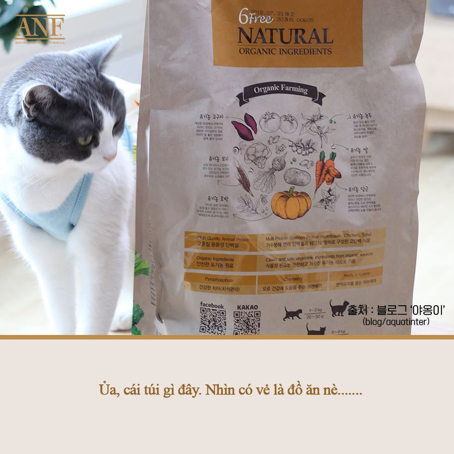 Thức ăn mèo ANF (Nguyên seal 1,6kg & 5,6kg) nhập khẩu chính hãng