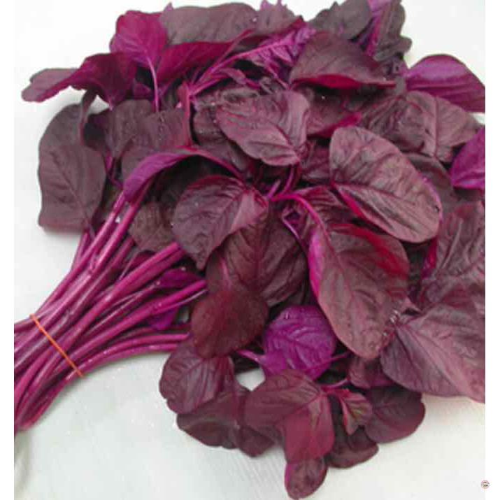 Hạt giống rau dền đỏ - gói 20 gram