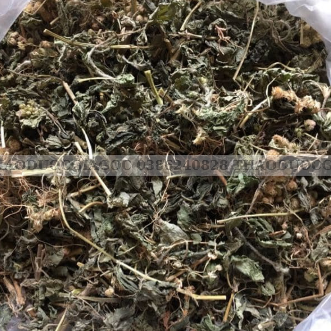 1Kg Cây Hoa Cứt Lợn phơi khô( Ngũ sắc)