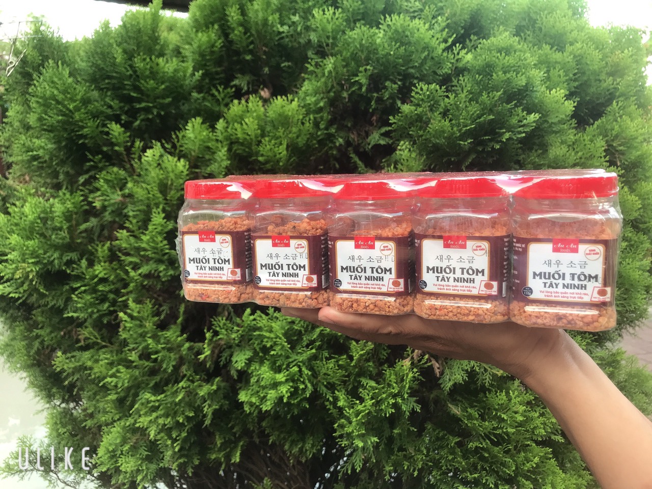 Muối tây ninh, muối tôm tây ninh chấm hoa quả loại siêu ngon 110g