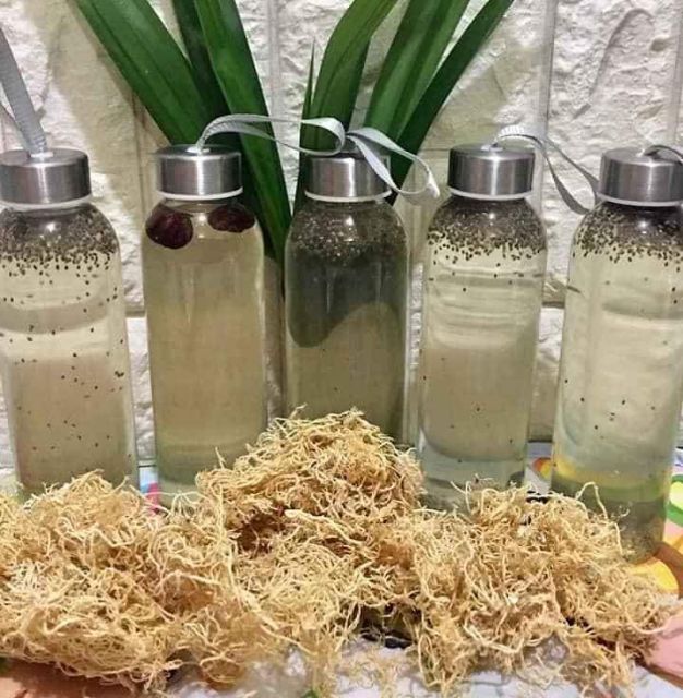 [ HOÀN TIỀN 10% ][HCM]100gr Rau chân vịt Đảo lý sơn