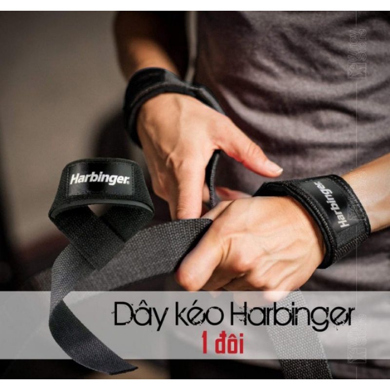 Dây Kéo Lưng Lifting Straps Harbinger chính hãng