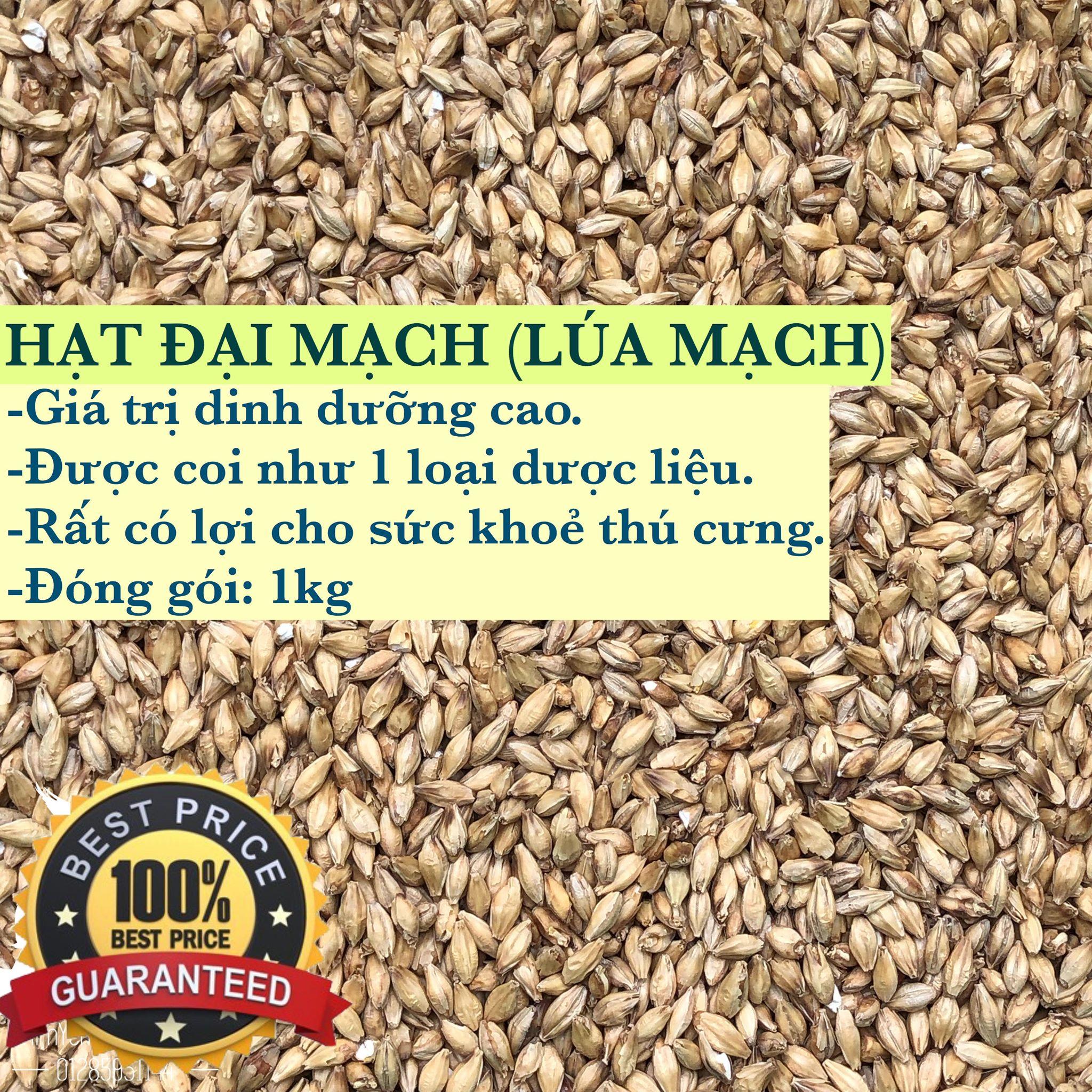 1kg hạt đại mạch (Barley Seed/Raw Barley) đa công dụng.