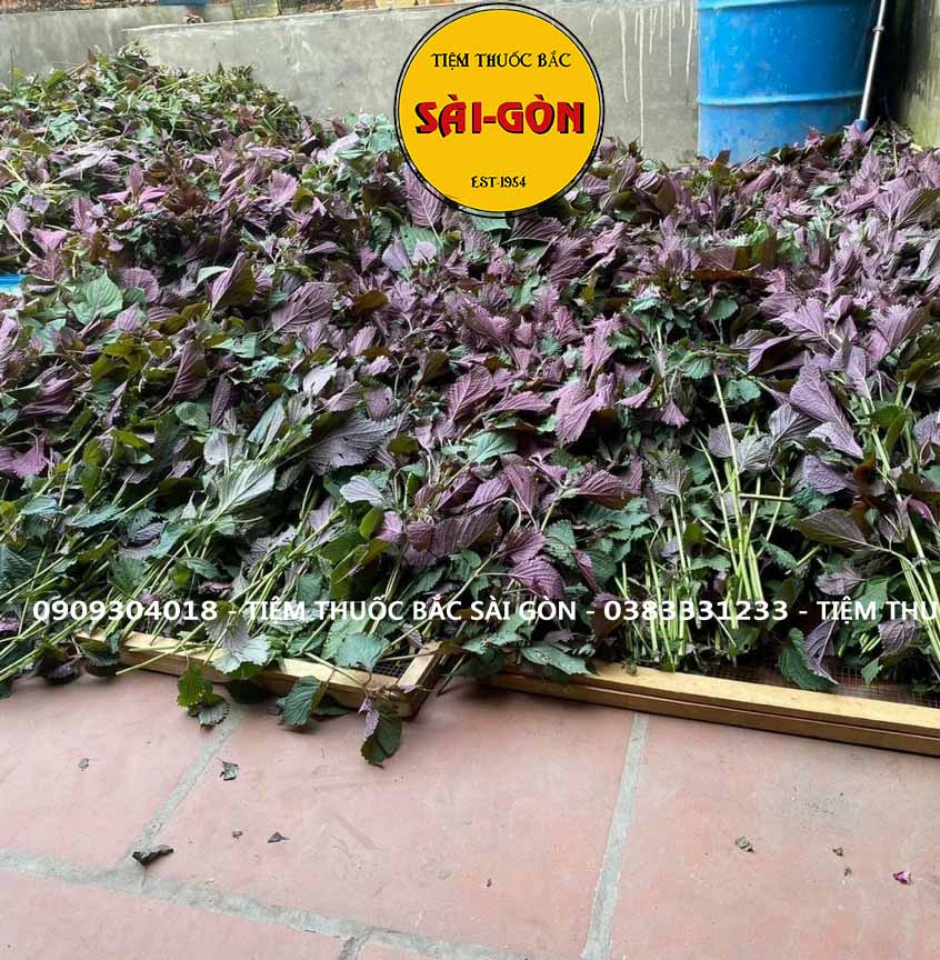 Bột Tía Tô Nguyên Chất 100gram