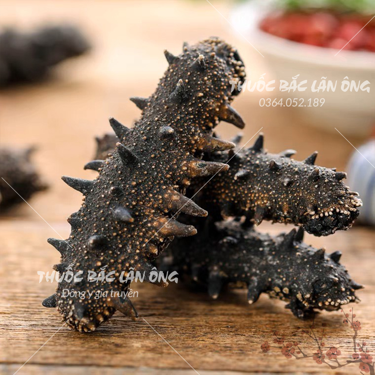 Hải sâm đen khô cao cấp 100g ( Dinh dưỡng, bổ thận, nhuận tràng )