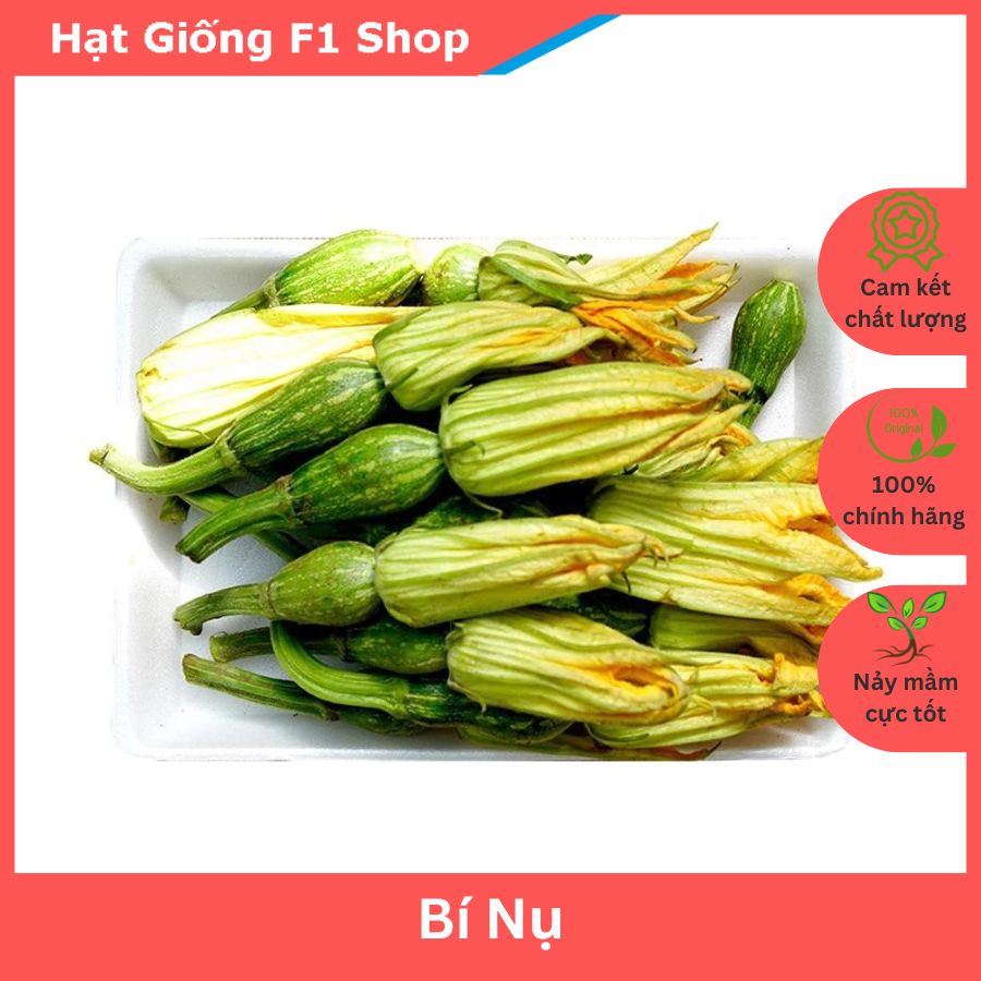 Hạt Giống Bí Nụ Lai F1 Gita Năng Suất Cao - Gói 5 Hạt