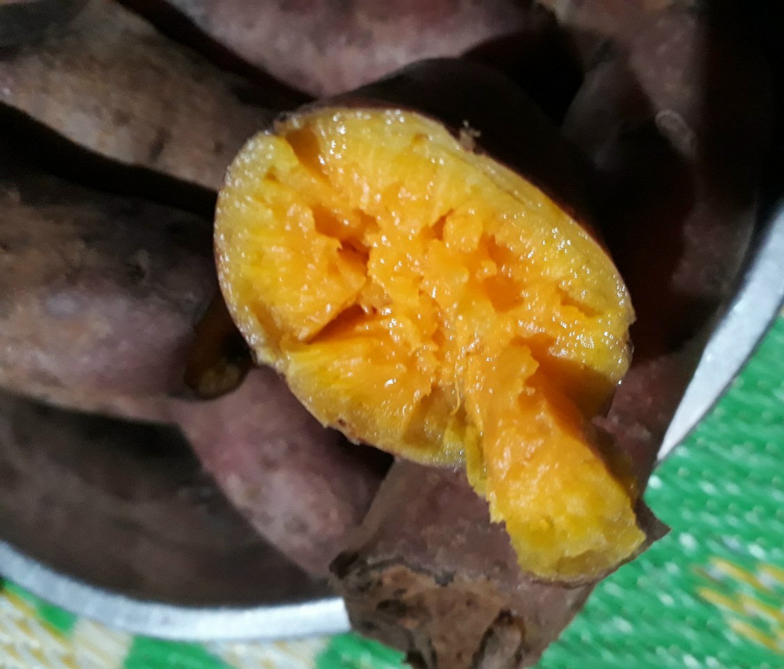 KHOAI LANG MậT ĐÀ LẠT SIZE NHỏ (10-14 Củ 1 KÝ)- SAM LÊ SHOP...