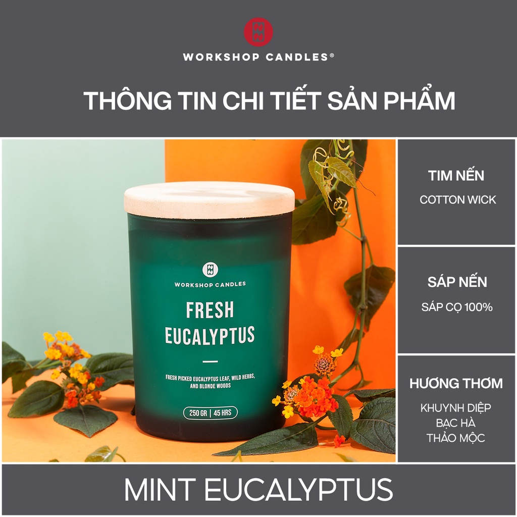 Workshop Candles - Nến thơm Fresh Eucalyptus 8oz