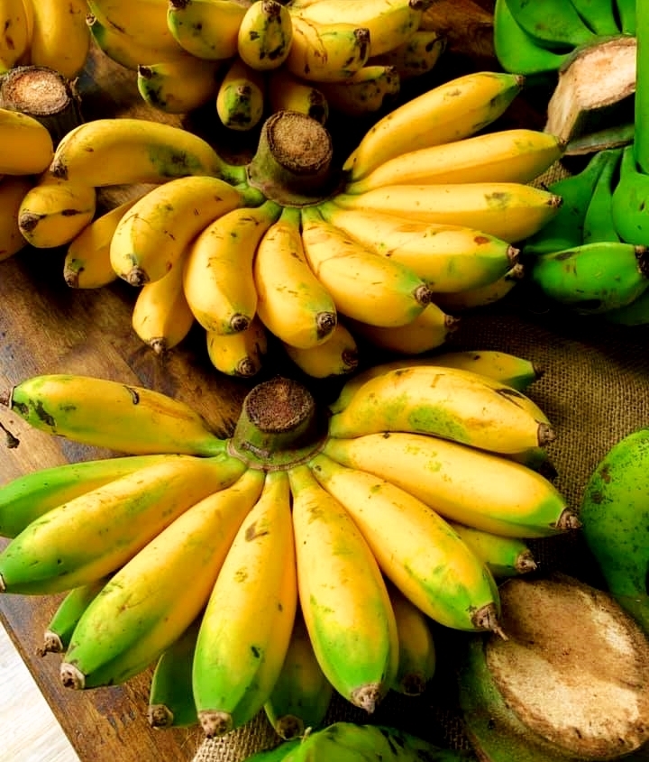 Cây giống Chuối Cau [ Dễ trồng, sinh trưởng tốt ].