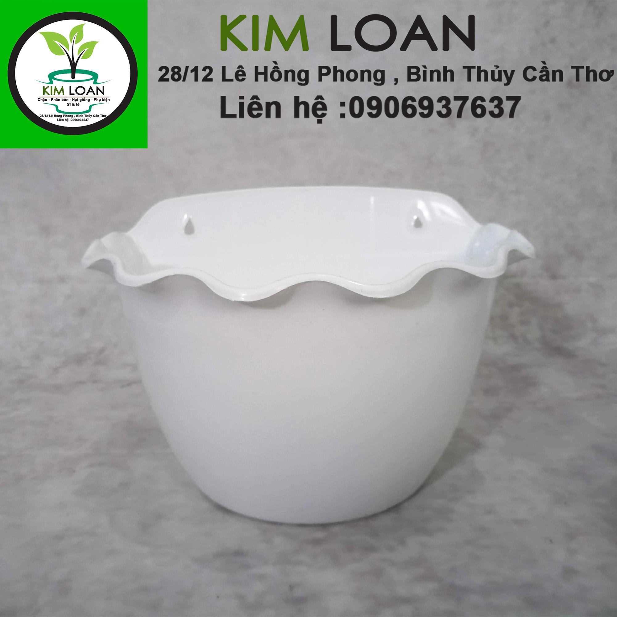 Combo 4 chậu nhựa ốp tường bầu vành tai bèo 24x18x14cm