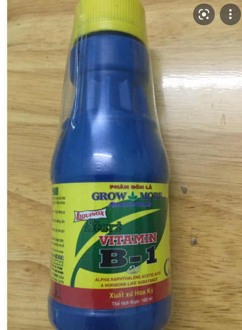 Phân Bón Lá Growmore Vitamin B1