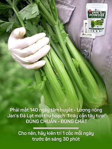 Bột cần tây mật ong sấy lạnh Jan's túi 60g ( 20 gói 3g)