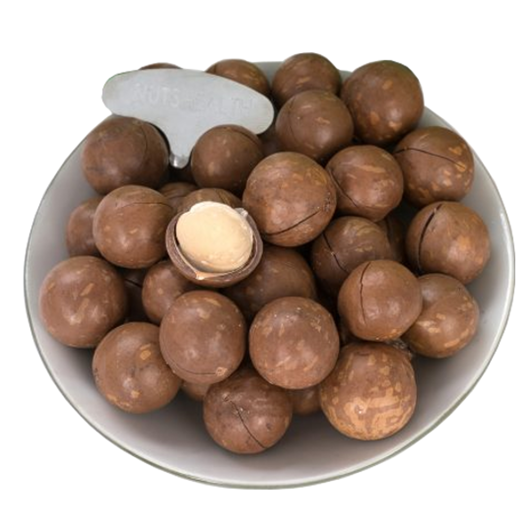 [HCM]Hạt Macca Đăk Lăk ăn liền 500g - Hạt mắc ca - Macadamia Nut