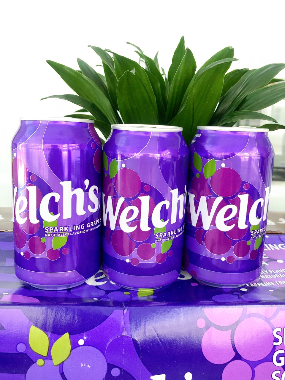 Nước ngọt Welch’S Soda Nho (12X 355Ml) - Mỹ