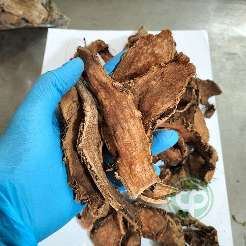 Dried Prickly Roots 500g - Tan Phat Herbal Medicine