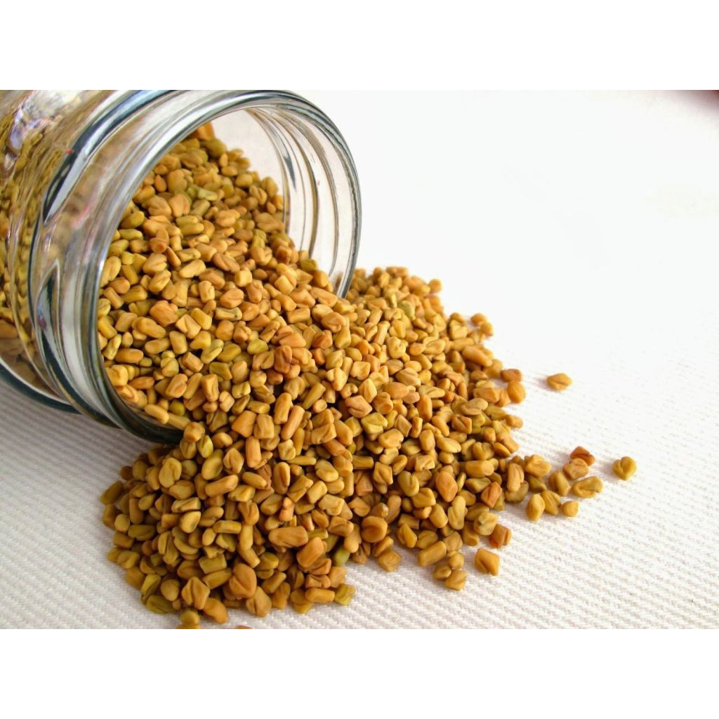 🌿 HẠT CÀ RI FENUGREEK (HẠT CỎ METHI) 500G – GIA VỊ ẤN ĐỘ CHUẨN VỊ, TỐT CHO SỨC KHỎE 🌿