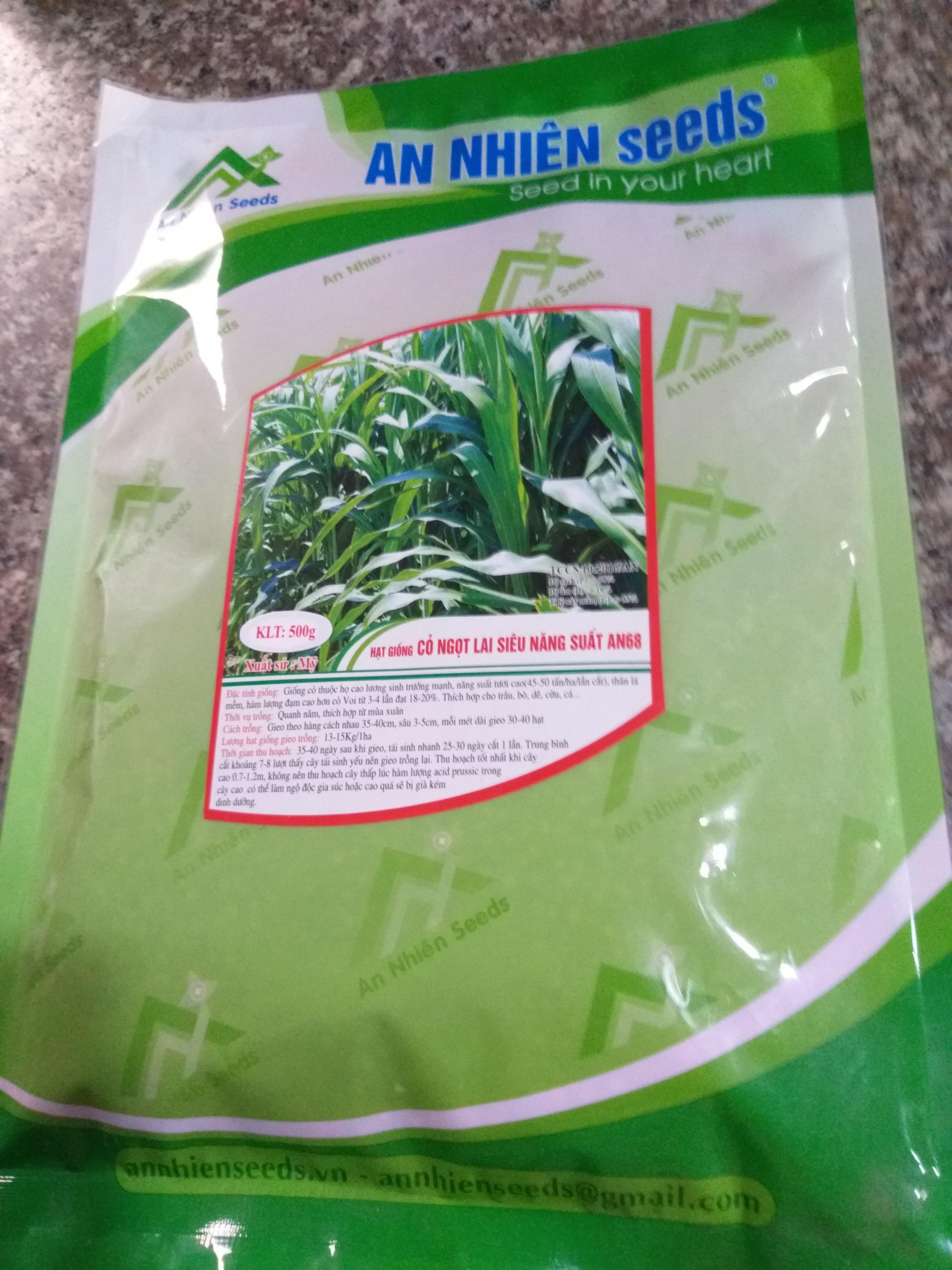 Hạt Cỏ Ngọt Lai Siêu Năng Xuất - 1kg Tỉ Lệ Nảy Mầm =85% - Hạt Giống Cỏ Chăn Nuôi Trâu,Bò,dê,cừu,cá... đem lại năng xuất cao trong ngành chăn nuôi