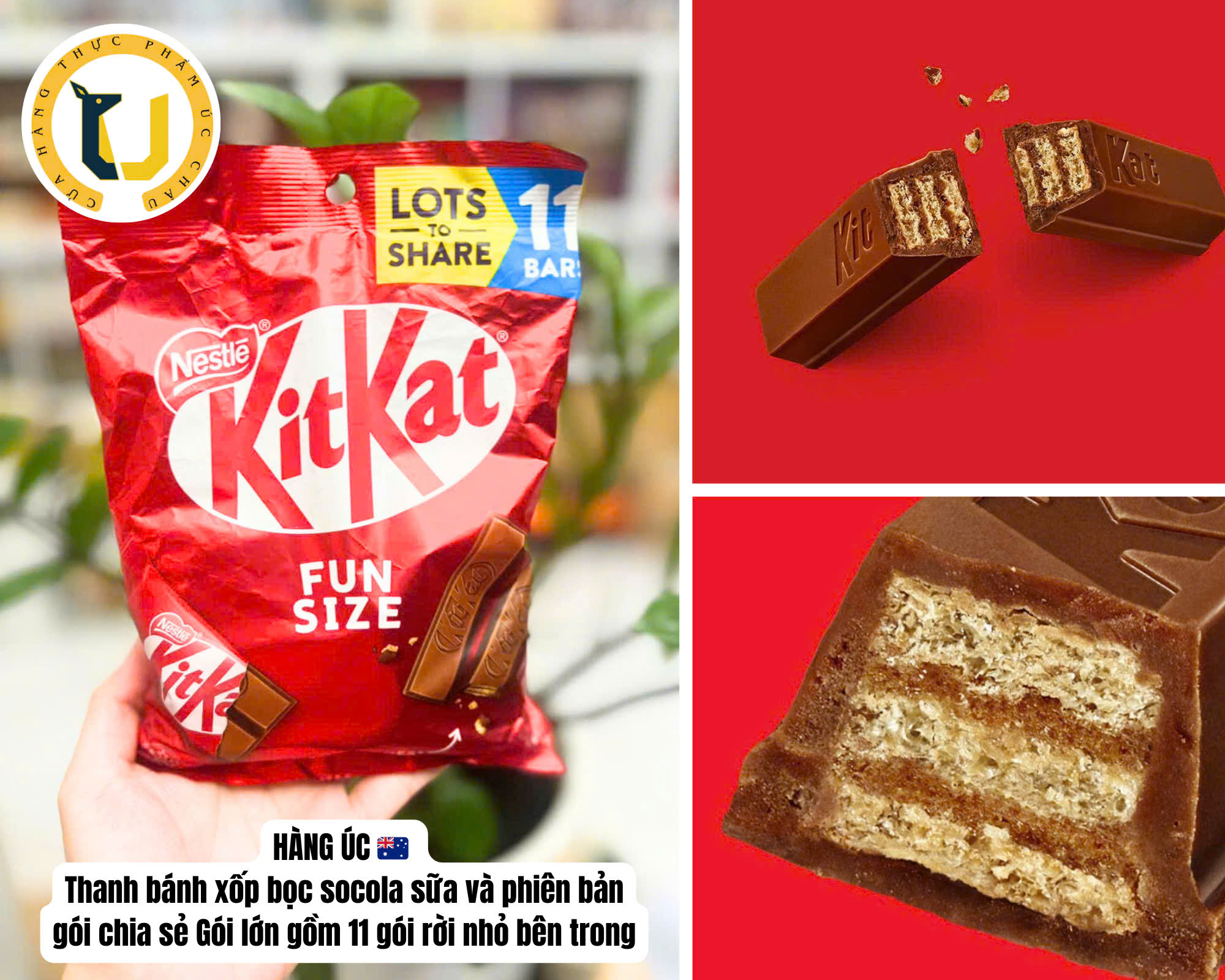 (Australian Product) Milk Chocolate with Sponge Cake Filling in Many Flavors, Mini Version Nestle Kitkat Mini Milk Chocolate, Pack Size 11 Individual Bars