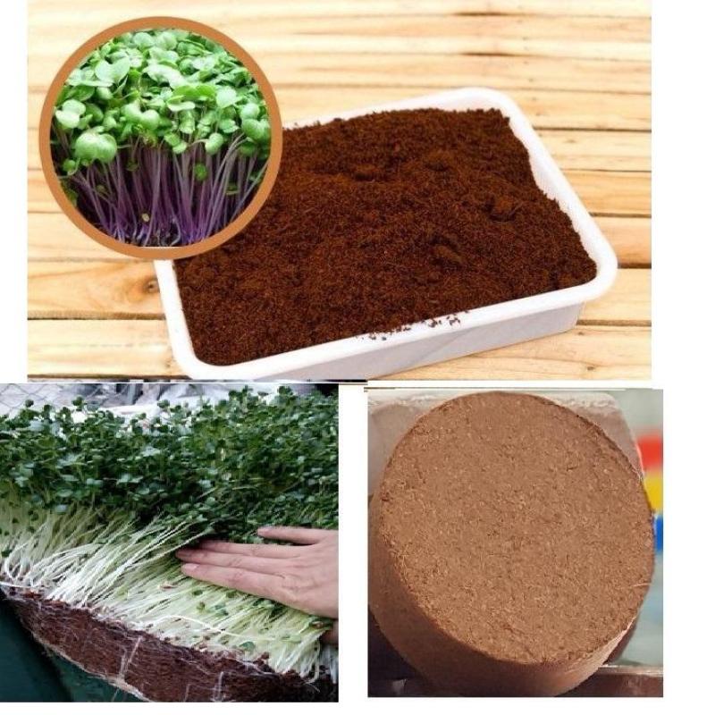 Viên nén mụn xơ dừa bánh lớn, đất nén trồng cây, mụn xơ dừa xử lý an toàn cho cây ươm