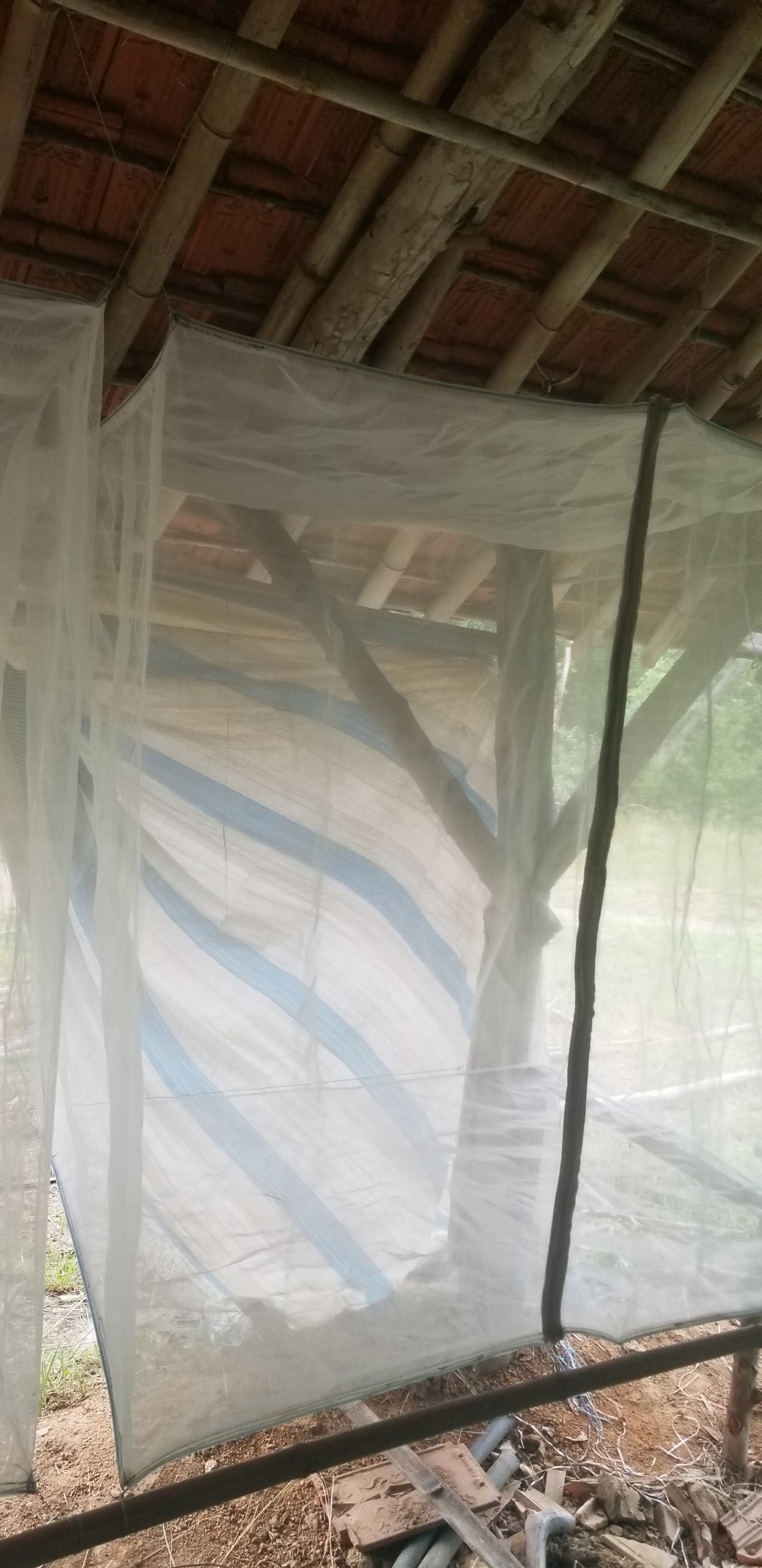 LỒNG LƯỚI NUÔI CÀO CÀO CHÂU CHẤU ( Dài 1m2 * Rộng 1m *Cao 1m2)