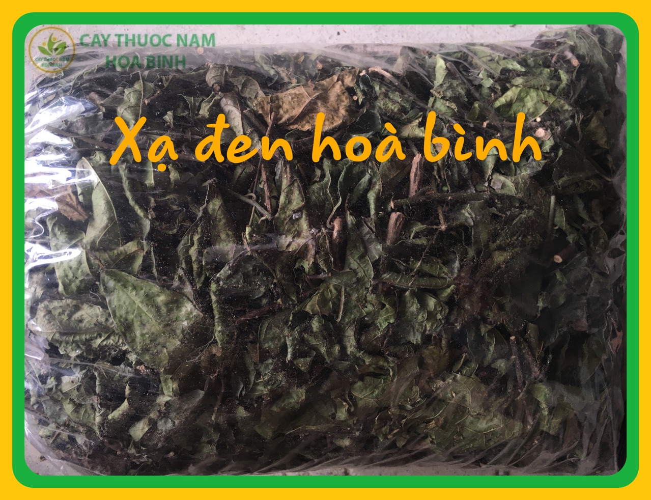 [GIÁ TẠI VƯỜN] 1kg Cây xạ đen Hòa Bình (xanh, khô, sạch, thơm)
