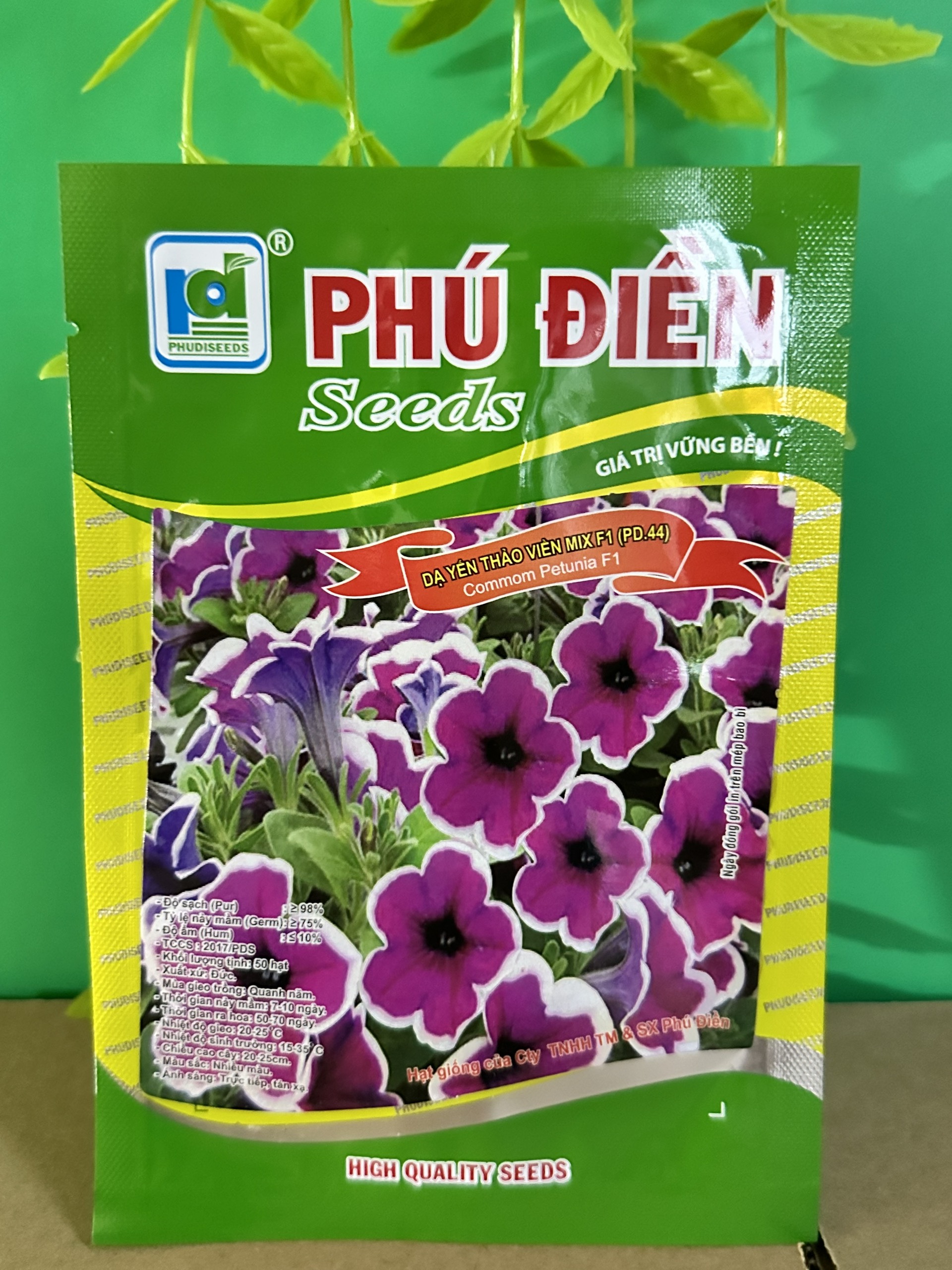 Hạt giống hoa dạ yến thảo viền