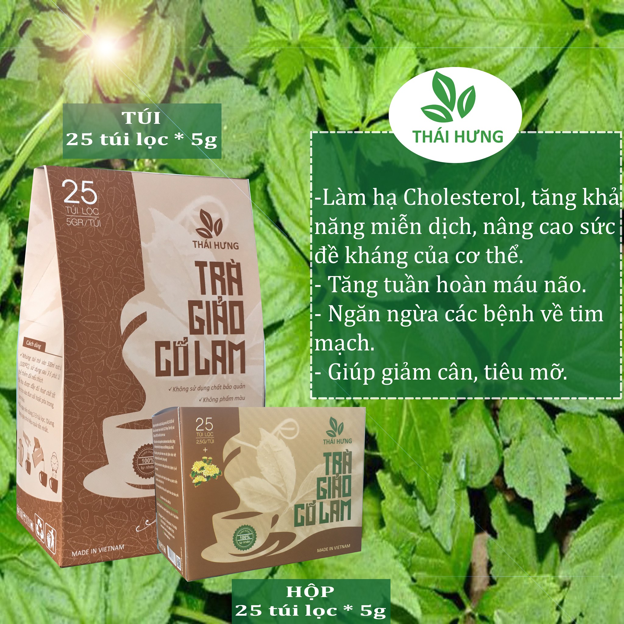 Trà giảo cổ lam thái hưng trà thảo mộc hộp 25 túi lọc 125gr 100% tự nhiên không chất bảo quản nguồn nguyên liệu an toàn giúp hạ mỡ máu hạ cholesterol ổn định huyết áp ngăn ngừa các bệnh tim mạch giảm cân bảo vệ sức khỏe