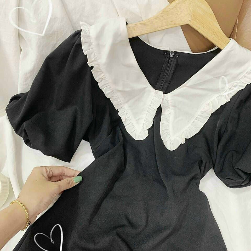 ĐẦM ĐEN CỔ BÈO TRẮNG N039