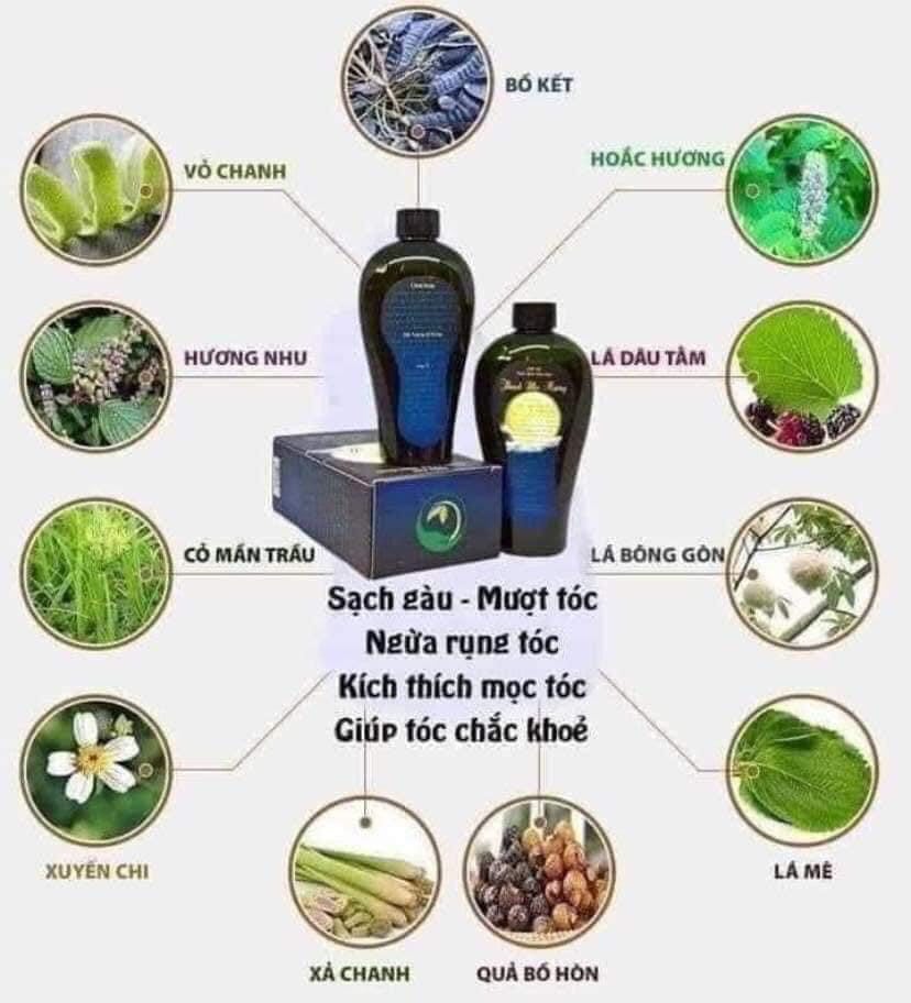 Dầu Gội Thanh Mộc Hương