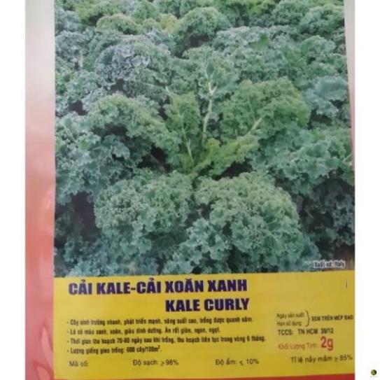 Hạt giống cải kale - cải xoăn xanh - gói 2 gram