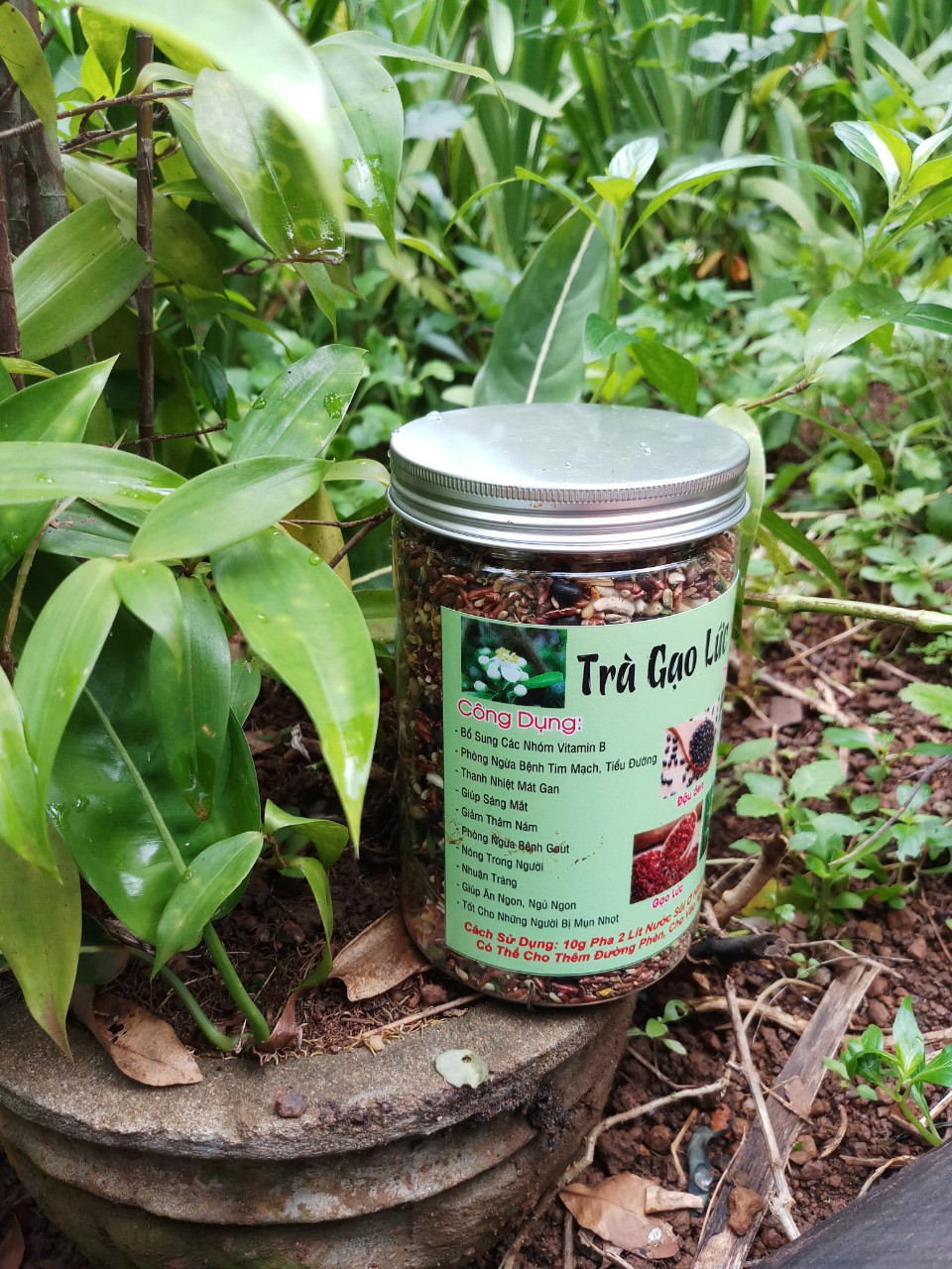 Trà gạo lức mộc hoa