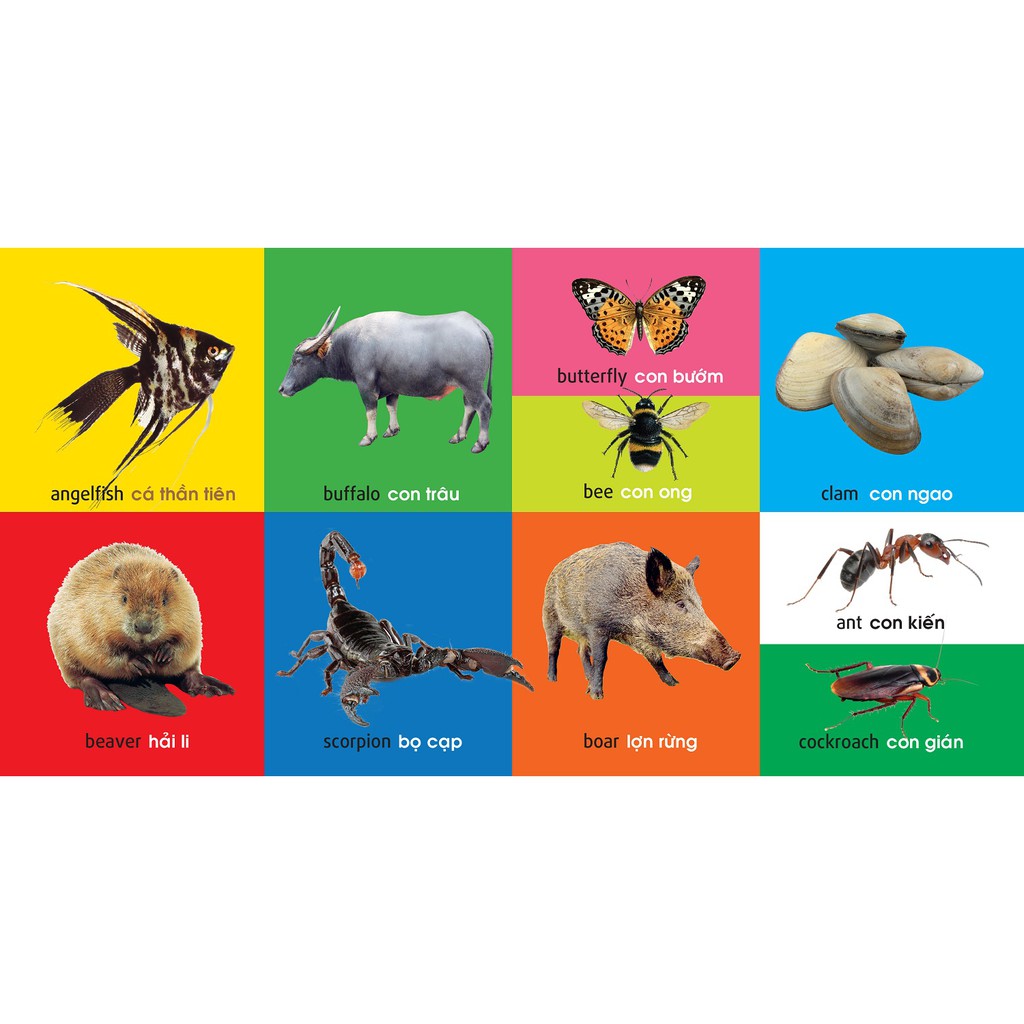 Sách: 101 First Words - Animals /101 Từ Đầu Tiên - Động Vật (TB)