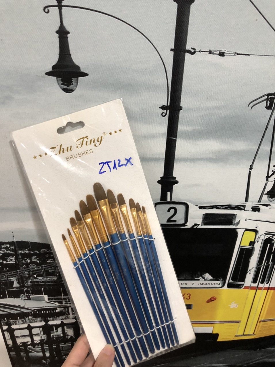 Bộ cọ đầu tròn 12c ZT12X