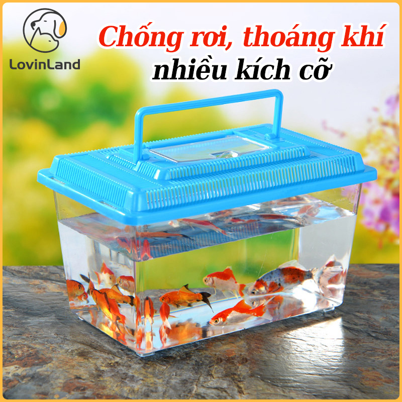 Mini Fish Tanks Betta Fish Tank Aquarium Tank Building Block Fish Bowl Office Table Decoration Home Decor Feeding Box