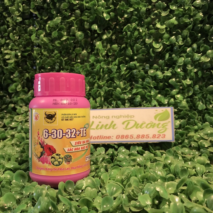 [GIÁ SỐC] Phân bón đầu trâu NPK 6-30-32+TE siêu ra hoa, sắc hoa rực rỡ lọ 100g