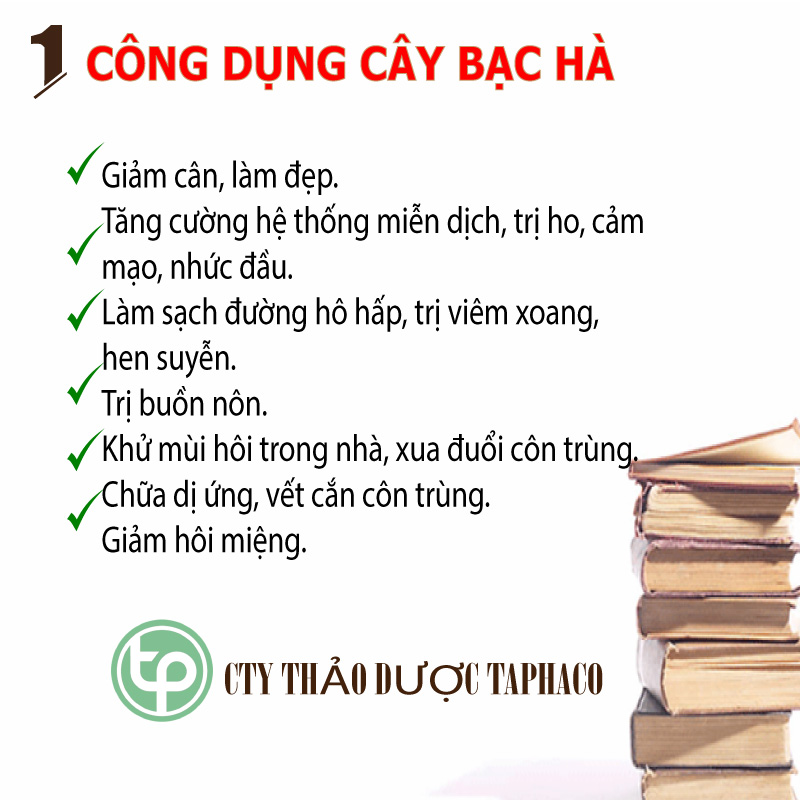 Lá bạc hà khô 500g - Trà bạc hà khô thơm ngon và bổ dưỡng - Hàng sạch với chất lượng cao nhất thị trường